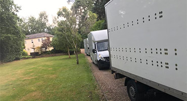ACE House Removals Gallery